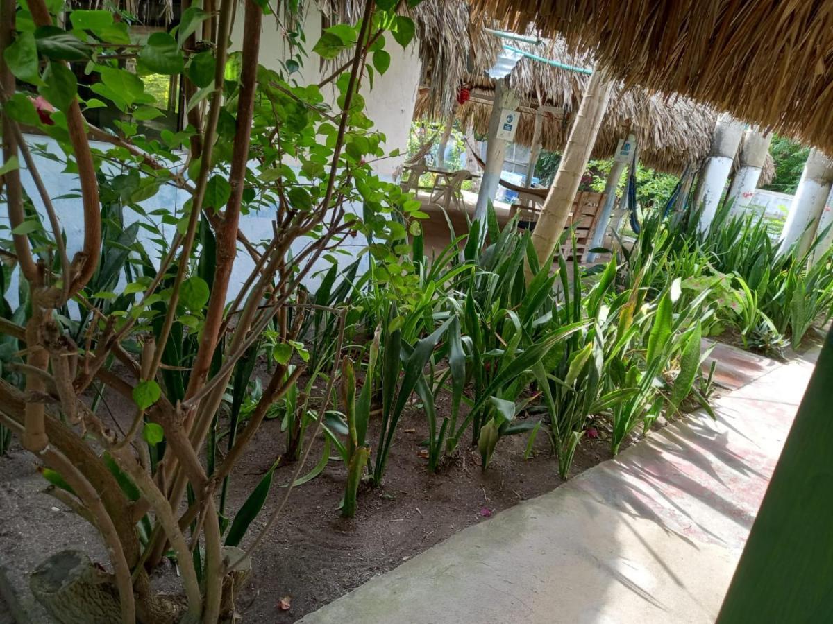 Las Flores Econativo Isla Grande  Exterior photo