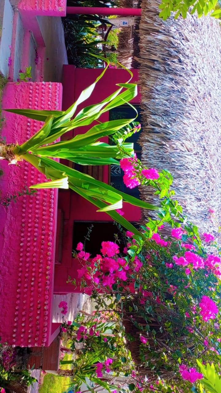 Las Flores Econativo Isla Grande  Exterior photo